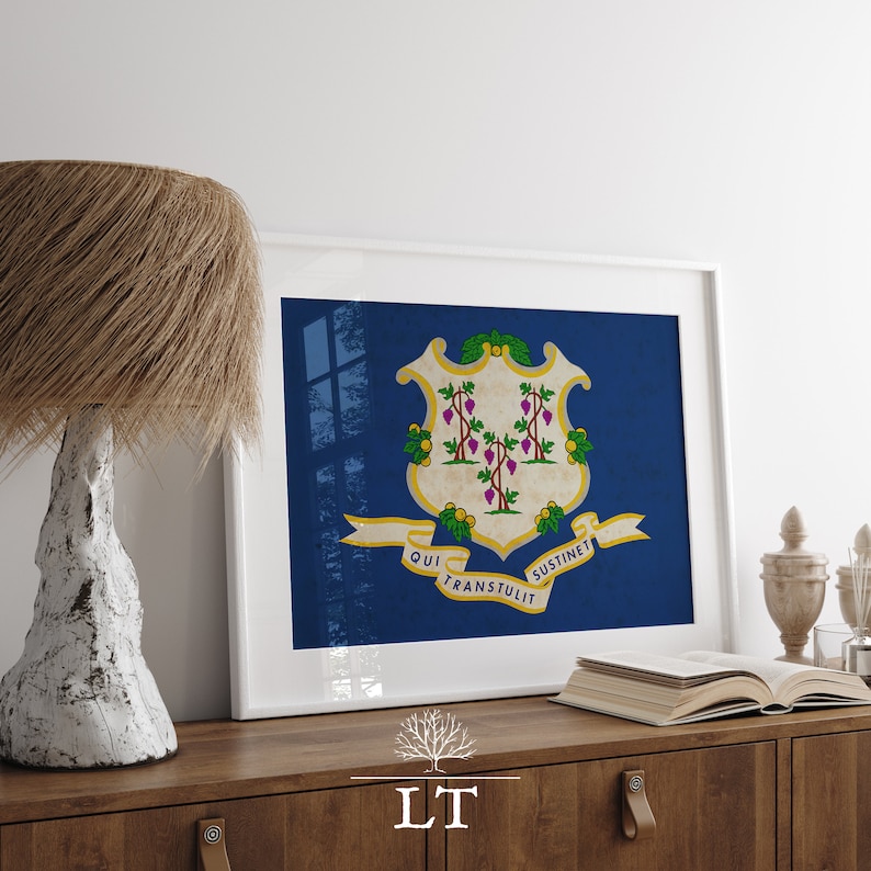 Vintage Connecticut State Flag Printable Wall Art, Connecticut State ...