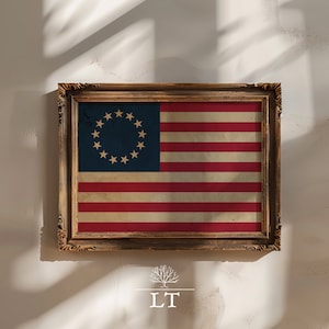 Op de afbeelding: Een ingelijste print van de eerste Amerikaanse vlag, met 13 sterren in een cirkel op een blauw veld en 13 afwisselende rode en witte strepen. De vlag is in een verweerde, vintage stijl, waardoor hij er rustiek uitziet.
