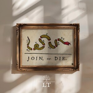 Könnte beinhalten: Gerahmter Druck mit einer Abbildung einer segmentierten Schlange mit dem Text "JOIN, or DIE". Die Schlange ist gelb mit roten Akzenten, und jedes Segment ist mit Initialen beschriftet. Der Rahmen ist verziert und braun.