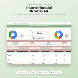 Op de afbeelding: Een digitaal Divorce Financial Recovery Kit spreadsheet met een financieel overzichtsdashboard met cirkeldiagrammen, staafdiagrammen en tabellen voor activaverdeling, schuldregistratie en berekeningen van het nettovermogen.