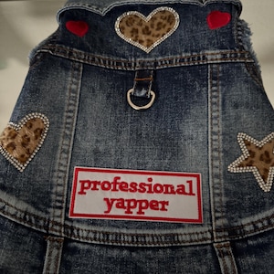 Jean Pet Jacket