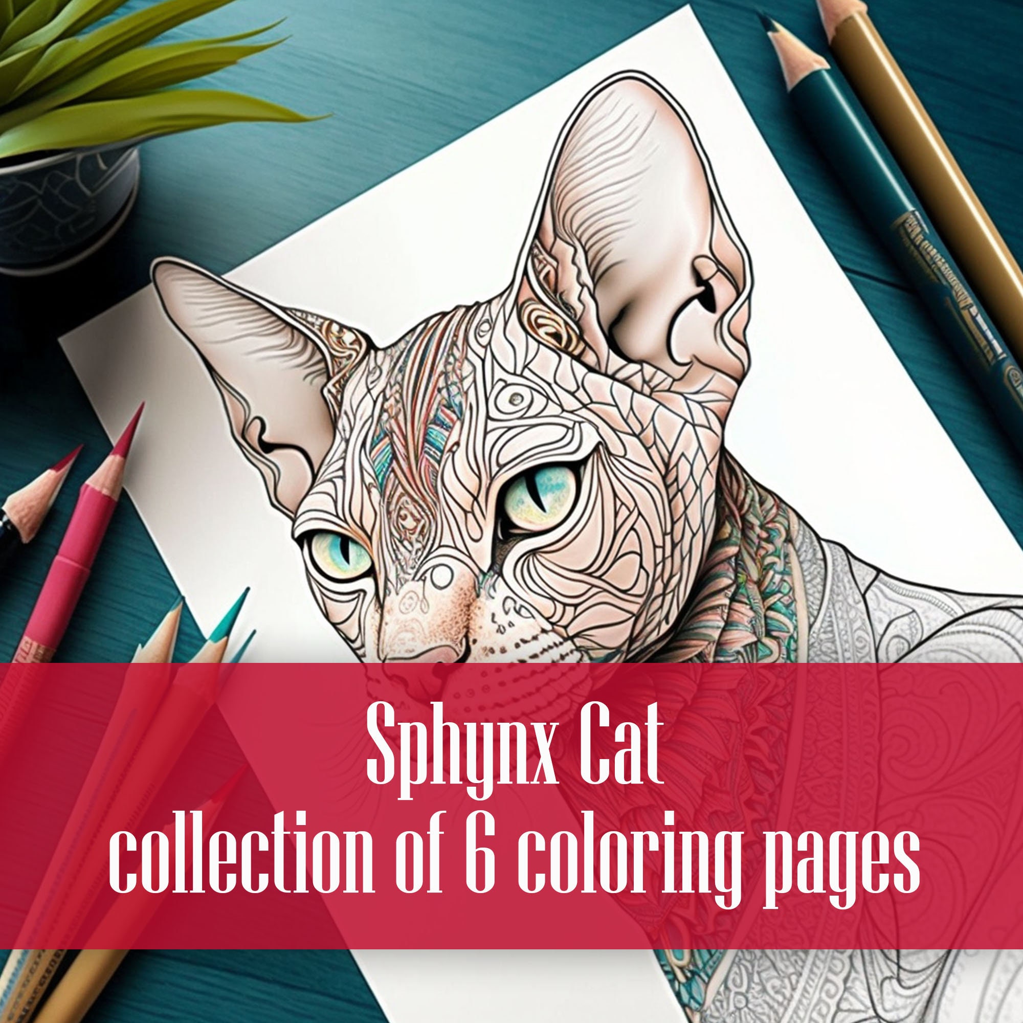 Cute Sphynx Cat Adult Coloring Book Page Mandala Style Stock Vector by  ©Sybirko 625024642