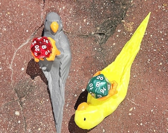 Guardião/suporte de dados para periquito (mais de 20 variações de cores!)