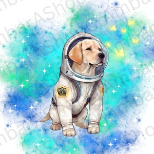 Labrador Retriever im Raumanzug - Labrador Retriever im Raumanzug - Labrador Retriever Hund - Labrador Astronaut - Labrador Retriever Besitzer - Weltraum - Galaxy Lab png