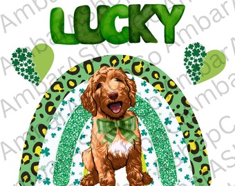 St. Patrick’s Day Goldendoodle PNG Labradoodle png Lucky Dog Shamrock png St Patricks dog Rainbow clover png Digital download SVG watercolor