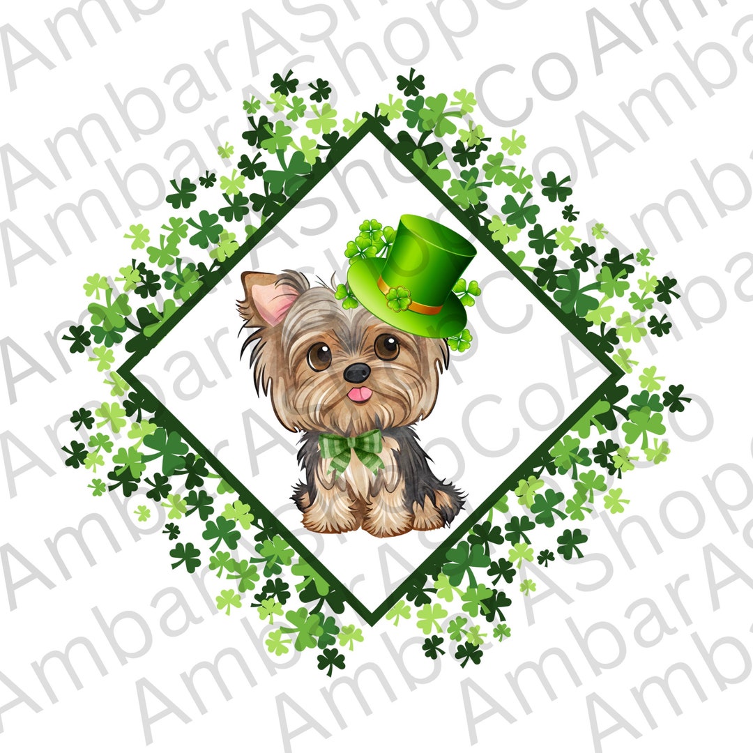 St. Patricks Yorkie PNG, Shamrock PNG, Dog PNG, Sublimation Design Svg Happy St. Patricks Day