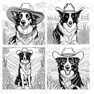 Può includere: Quattro illustrazioni in bianco e nero di border collie con cappelli da cowboy. Ogni cane è in una posa e un'ambientazione diverse. Il primo cane è in piedi con un'espressione seria. Il secondo cane è seduto con un'espressione giocosa. Il terzo cane è seduto con un'espressione rilassata. Il quarto cane è in piedi con un'espressione felice.