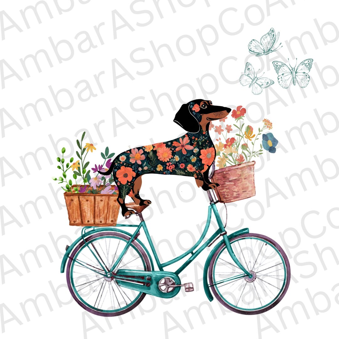 Dachshund Riding Bike Dachshund Dog Png Floral Dachshund Weiner Dog