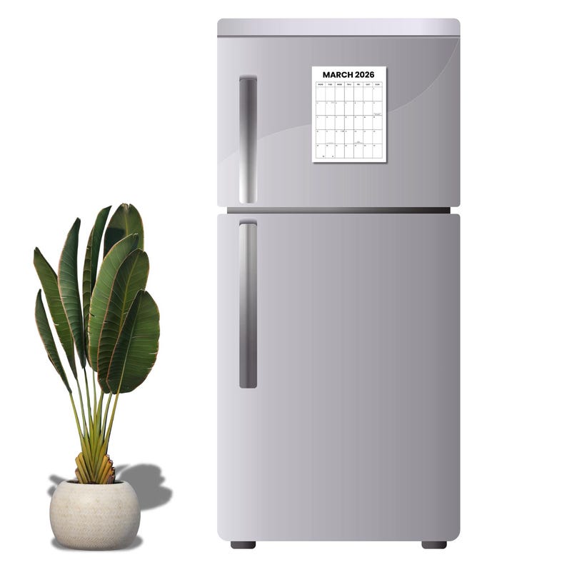 March 2026 Vertical Minimalist Monthly Calendar W/holidays + Moons ...