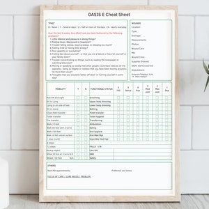 OASIS E Cheat Sheet With High Risk Medications and Written BIMS OASIS E Cheat Sheet With High Risk Medications and Written BIMS