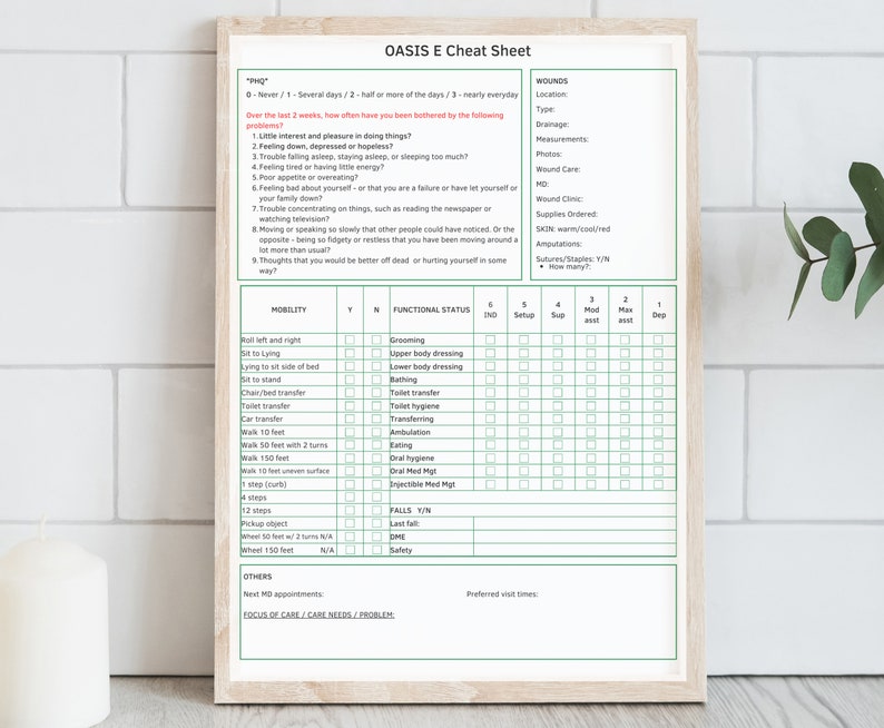 OASIS E Cheat Sheet With High Risk Medications and Written Etsy Canada