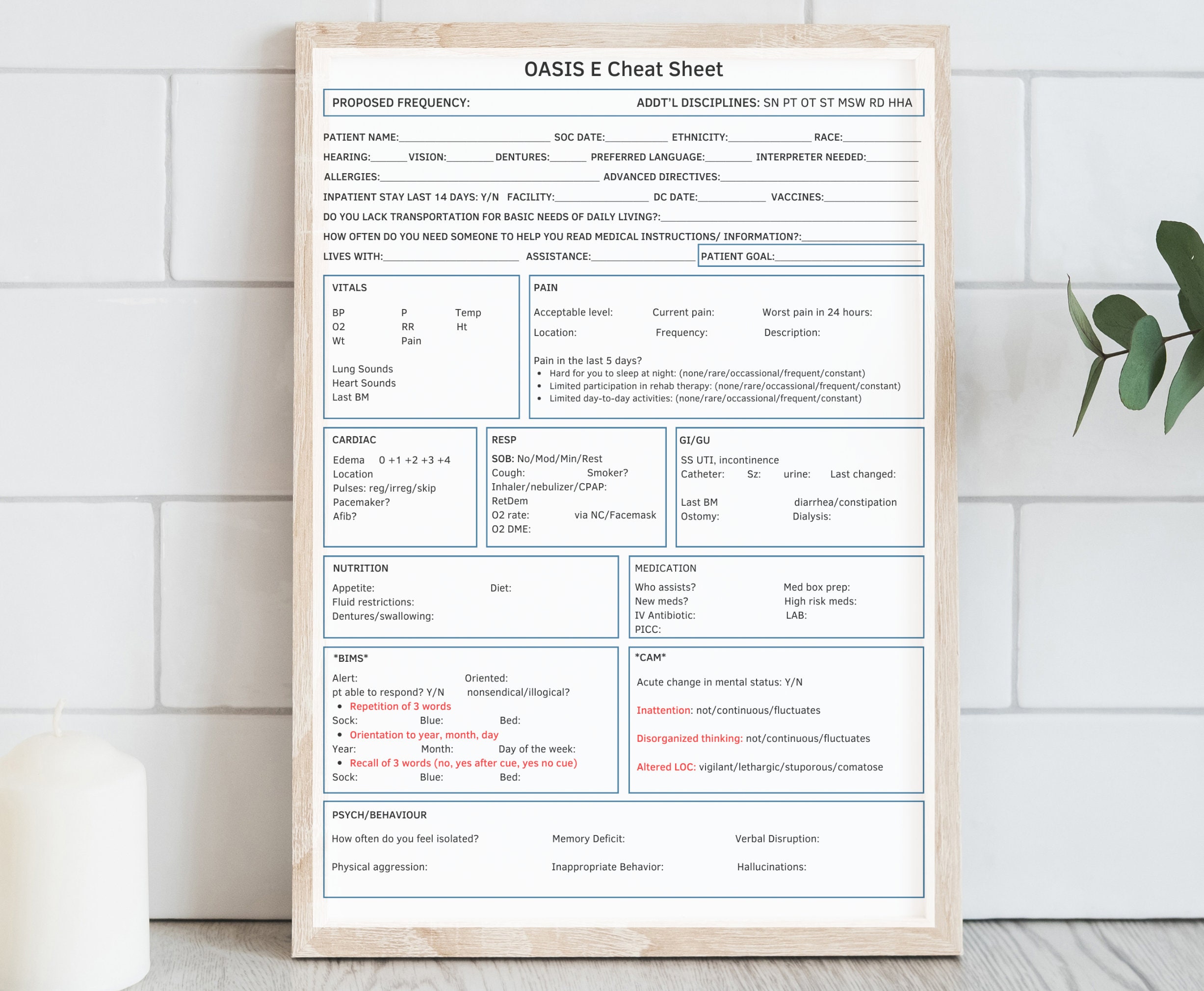 New OASIS E Cheat Sheet With High Risk Medications and Written Etsy