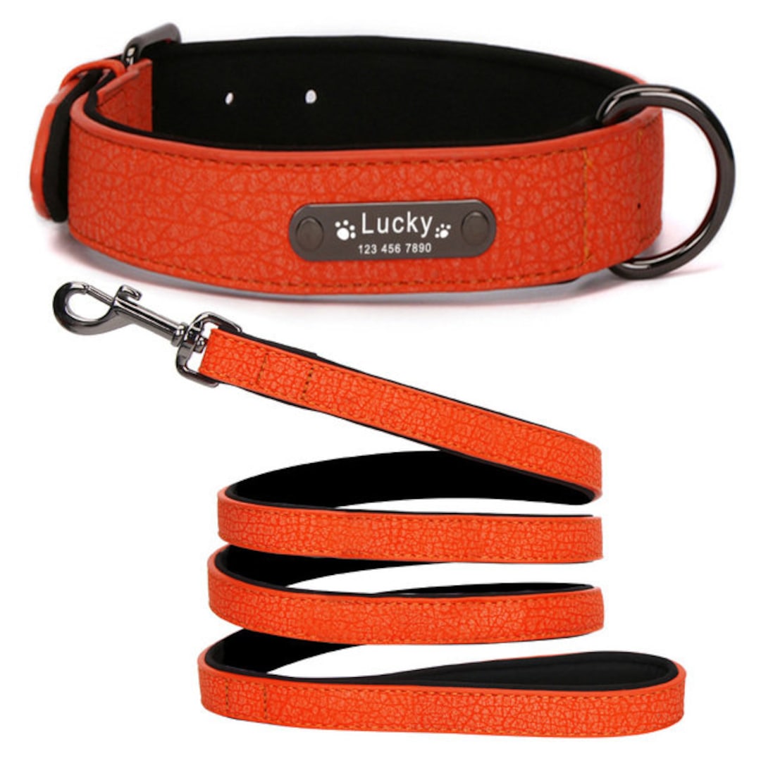 Personalized Collar and Leash Luxury, Designer Leather for Big Dogs