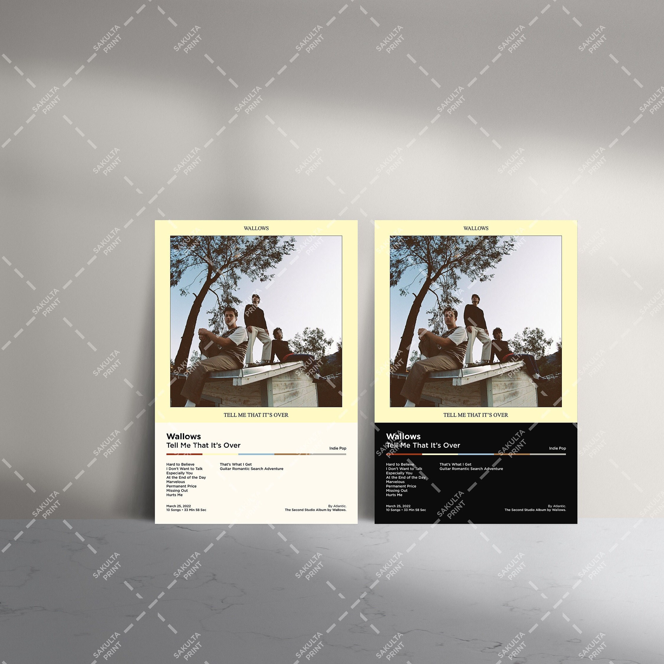 Wallows 3 Set Album Poster / Wallows Posters / Album Cover Poster