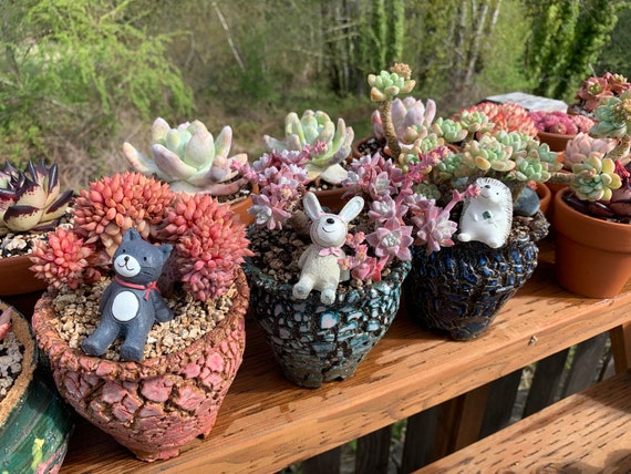 4 Inch & 3 Inch Handmade Ceramic/clay Indoor/outdoor Succulent Planter/pot  4 Colors Available 1 for Each - Etsy