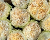 Articolo da questo negozio