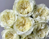 Articolo da questo negozio