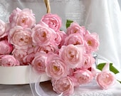 Artikel aus diesem Shop