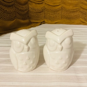 Vintage White Ceramic Owl Salt and Pepper Shakers