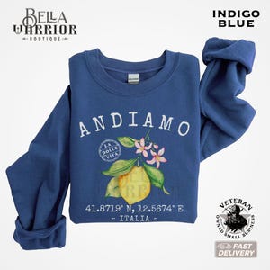 Italy Sweatshirt, Italian GIfts, La Dolce Vita, Vacation Shirt, Group Travel Gift, Italian Summer Clothes, Italy Lover Gift, Andiamo Sweater