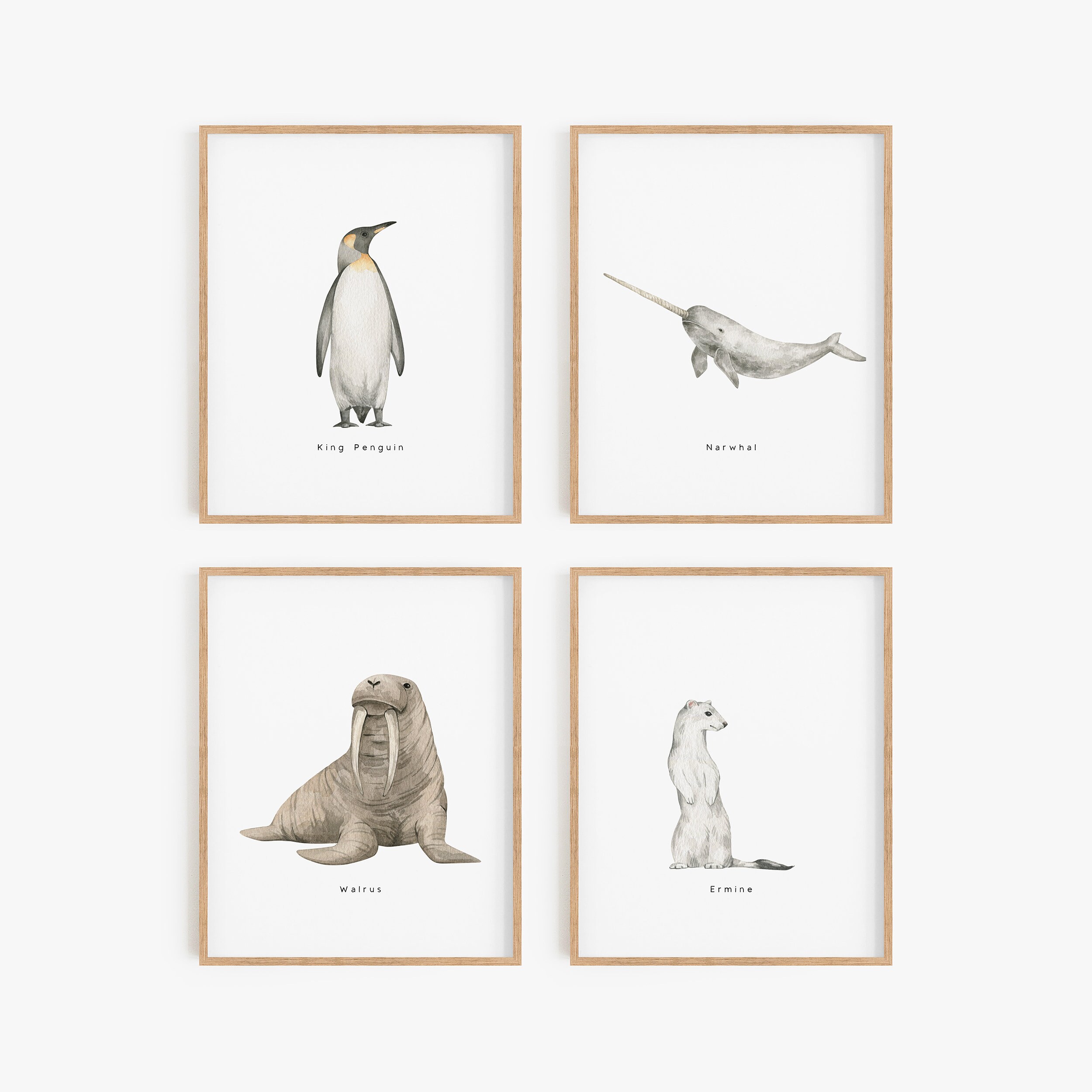Set of 12 Arctic & Antarctic Animal Wall Posters Animal Etsy