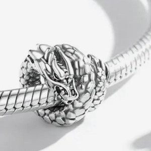 Infinity Dragon Circle Ouroboros 925 Sterling Silver Charm Bead For Pandora  & Similar Charm Bracelets or Necklaces