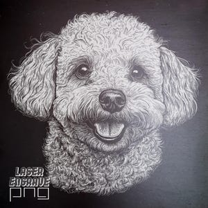 Bichon Frise Laser PNG | Plik grawerowania łupkowego | Podkładki łupkowe | Pliki routera CNC | Projekty CNC | Rasa psa Laser | Glowforge | CNC