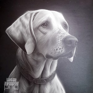Archivo de grabado láser / Posavasos de pizarra grabados / Archivos de enrutador CNC / Proyectos CNC / Ingenioso / Impresiones descargables / Arte de pared / Perro de caza PNG