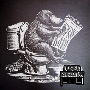 Vogelbekdier, png | Leisteen onderzetter, png PNGEgg | Co2-laserbestanden | Toiletdeurbordje | Airbnb-huisborden | Lasergraveren, png-bestand | WC Toiletbord | Grappige foto's