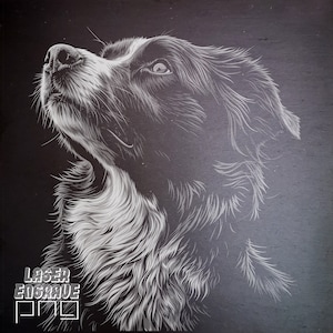 Border Collie PNG | Plik do grawerowania laserowego | Łupek PNG | Grawerowane podstawki z łupka | Pliki routera CNC | Projekty CNC | Grawerowanie grafiki psa