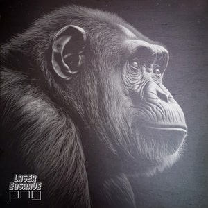 File di incisione Gorilla: sottobicchiere in ardesia, progetto di fresatura CNC (PNG)