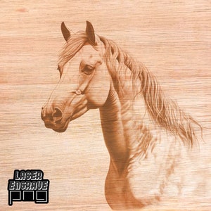 Caballo PNG / Archivo de grabado láser / Archivo CNC para madera / Proyectos CNC / Arte mural ingenioso / Impresiones artísticas descargables populares / Regalo artístico ingenioso