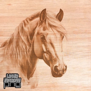 Paard | Lasergraveren, png-bestand | Klaar voor Lightburn en Glowforge | Houtets: