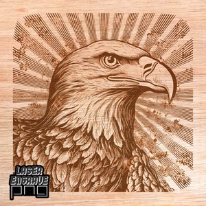 Águila calva PNG / Archivo de grabado láser / Archivo CNC para madera / Posavasos de madera / Proyecto CNC / Diseños láser de CO2 / 4 de julio PNG / Día de la Independencia