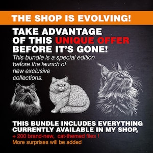 Limited edition laser engraving bundle – Get all current designs before they disappear! 1,700+ PNG files, including 200 exclusive cat designs. Commercial license included.