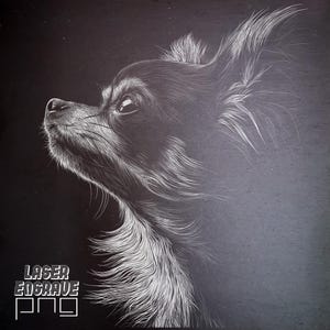 Plik do grawerowania łupkowego | Chihuahua z długimi włosami Laser PNG | Podkładki łupkowe | CO2, dioda, laser światłowodowy | Glowforge, Lightburn, Xtool Ready | Psy