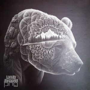 Bear Head PNG | Plik do grawerowania laserowego | Podkładki z łupka | Projekty CNC | Projekty laserowe CO2 | Góra i las | Niedźwiedź grizzly | Mandala