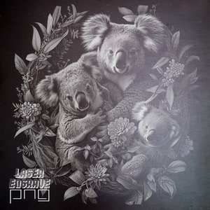 Koala PNG | Plik grawerowania laserowego | Podkładki z łupka | Projekt CNC | Projekt laserowy CO2 | Znaki z łupka | Niedźwiedzie Koala PNG | Australijska przyroda