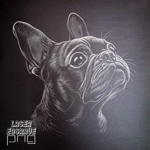 Bulldog francese Laser PNG / File di incisione su ardesia / Sottobicchieri in ardesia / File per router CNC / Progetti CNC / Laser per razze di cani / Glowforge / CNC