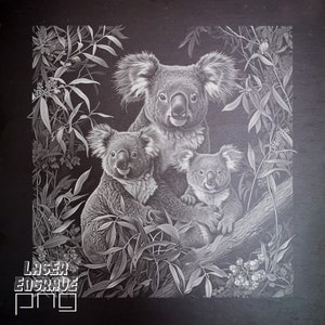 Koala, png-bestand | Lasergravurebestand | Leisteen onderzetters | CNC-project | CO2-laserontwerp | Leisteenborden | Koala's, png PNGEgg | Australische dieren in het wild