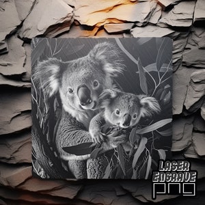 Koala PNG | Plik grawerowania laserowego | Podkładki z łupka | Projekt CNC | Projekt laserowy CO2 | Znaki z łupka | Niedźwiedzie Koala PNG | Australijska przyroda