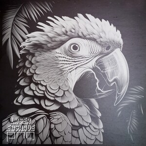 Tropical Bird PNG | Laser Engraving File | Slate Coaster Engraved | CNC Router Files | CNC Projects | Artful Jungle | Downloadable Prints