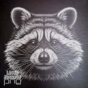 Szop PNG | Grawerowanie laserowe PNG | Pliki podstawek łupkowych | Pliki routera CNC | Projekty CNC | Projekt lasera CO2 | Głowa szopa PNG | Szop Therian