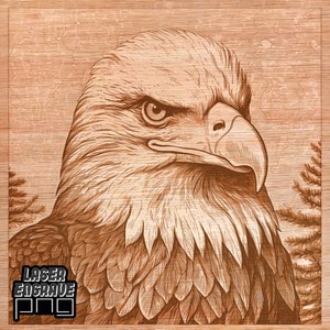 Águila calva PNG / Archivo de grabado láser / Archivo CNC para madera / Posavasos de madera / Proyecto CNC / Diseños láser de CO2 / 4 de julio PNG / Día de la Independencia