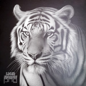 Tijger, png-bestand | Lasergravurebestand | Leisteen onderzetter gegraveerd | CNC-routerbestanden | CNC-projecten | Kunstzinnige jungle | Downloadbare afdrukken | Muurkunst