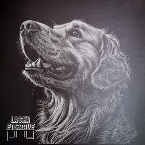 Golden Retriever PNG | Plik do grawerowania laserowego | Łupek PNG | Grawerowane podstawki z łupka | Pliki routera CNC | Projekty CNC | Trawienie psa | Psowaty