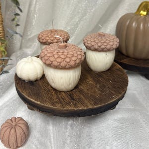 Puede incluir: Velas con temática otoñal en forma de bellotas y calabazas. Las velas de bellota tienen una tapa marrón claro y una base blanca. También hay una pequeña calabaza blanca y una calabaza marrón.