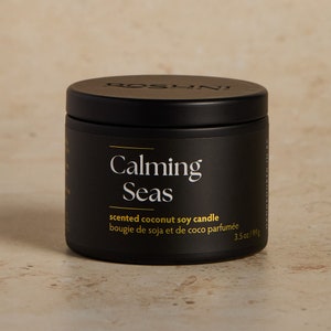 Calming Seas - Sea Salt + Sage Coconut Soy Candle