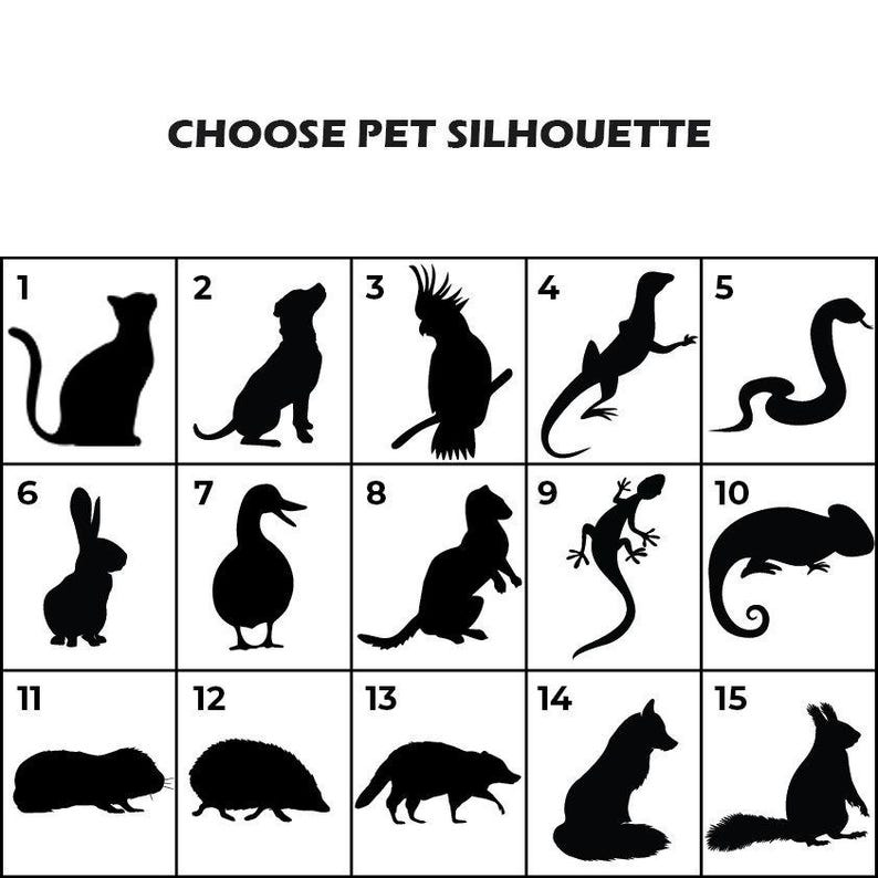 May include: Black silhouettes of various pets are displayed in a grid, including a cat, dog, parrot, lizard, snake, rabbit, duck, ferret, gecko, chameleon, guinea pig, hedgehog, fox, and a second rabbit. The text "CHOOSE PET SILHOUETTE" is at the top.