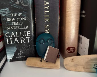 Seaglass Book Buddy